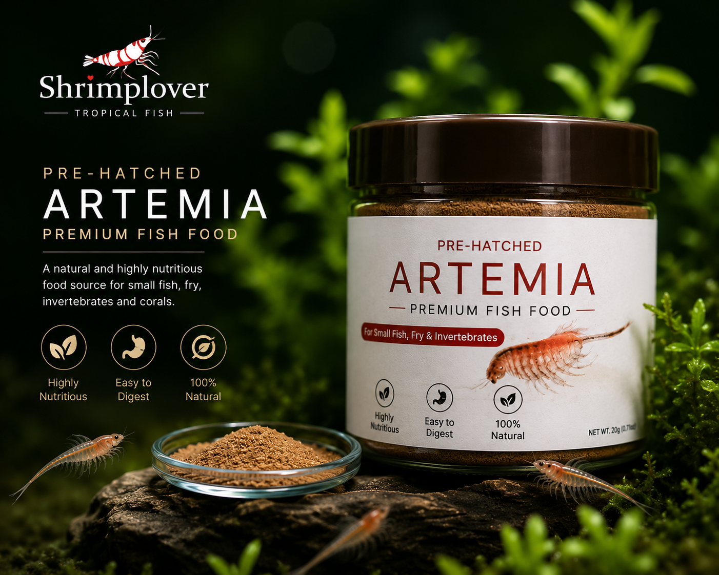 Artemia/ pre-hatched dry brine shrimps powder