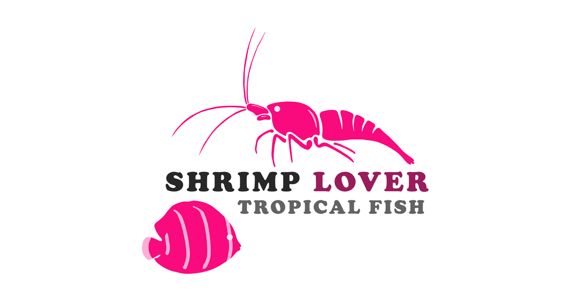 Shrimp lover clearance