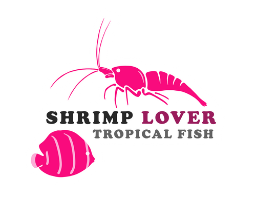 Shrimp Lover & Tropical Fish
