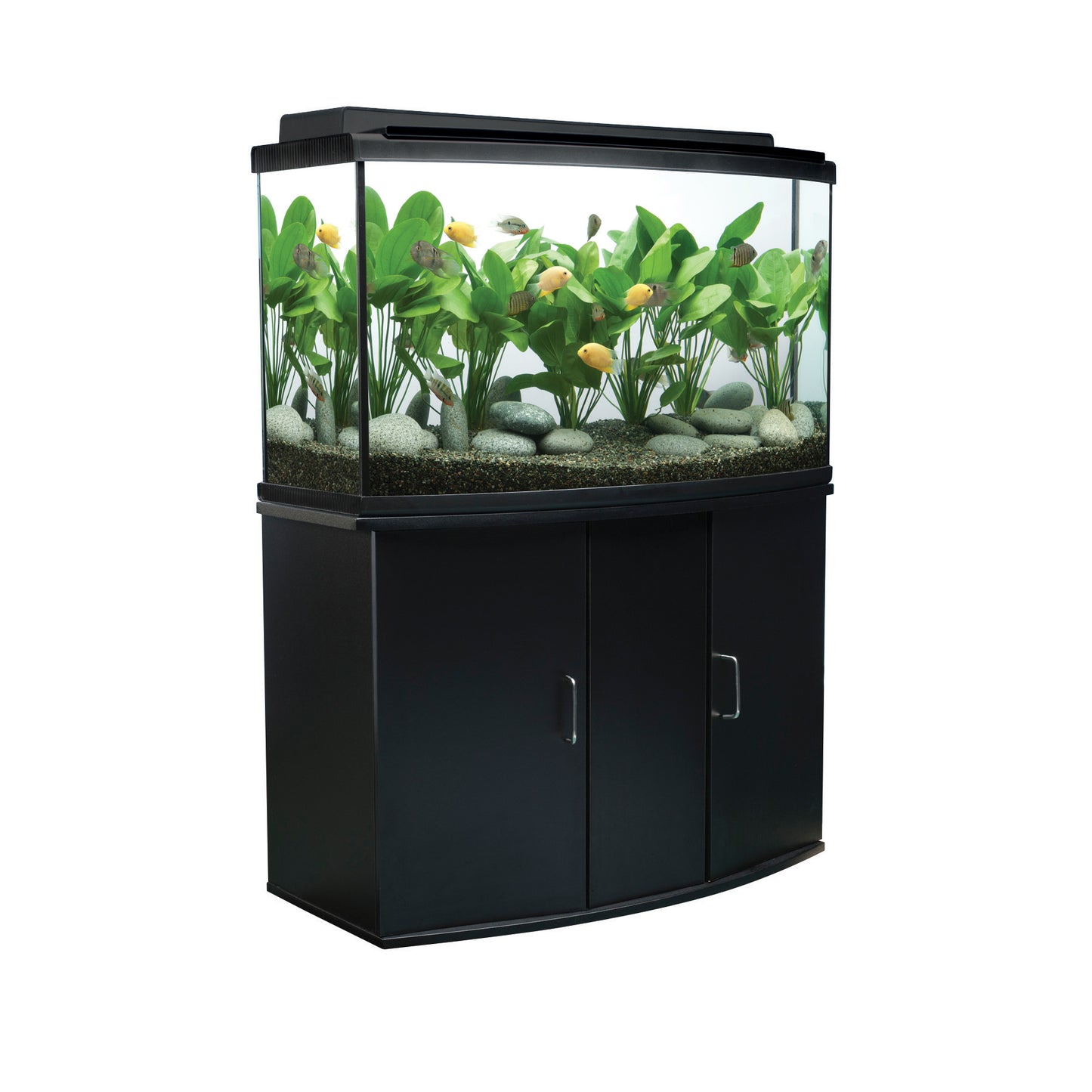 Fluval Bow Front Aquarium Cabinet - 37in x 16.5in x 26in (94 cm x 42 cm x 66 cm) - Black (Pre-Order Only)(Free Delivery to your Driveway available within 10km from store)