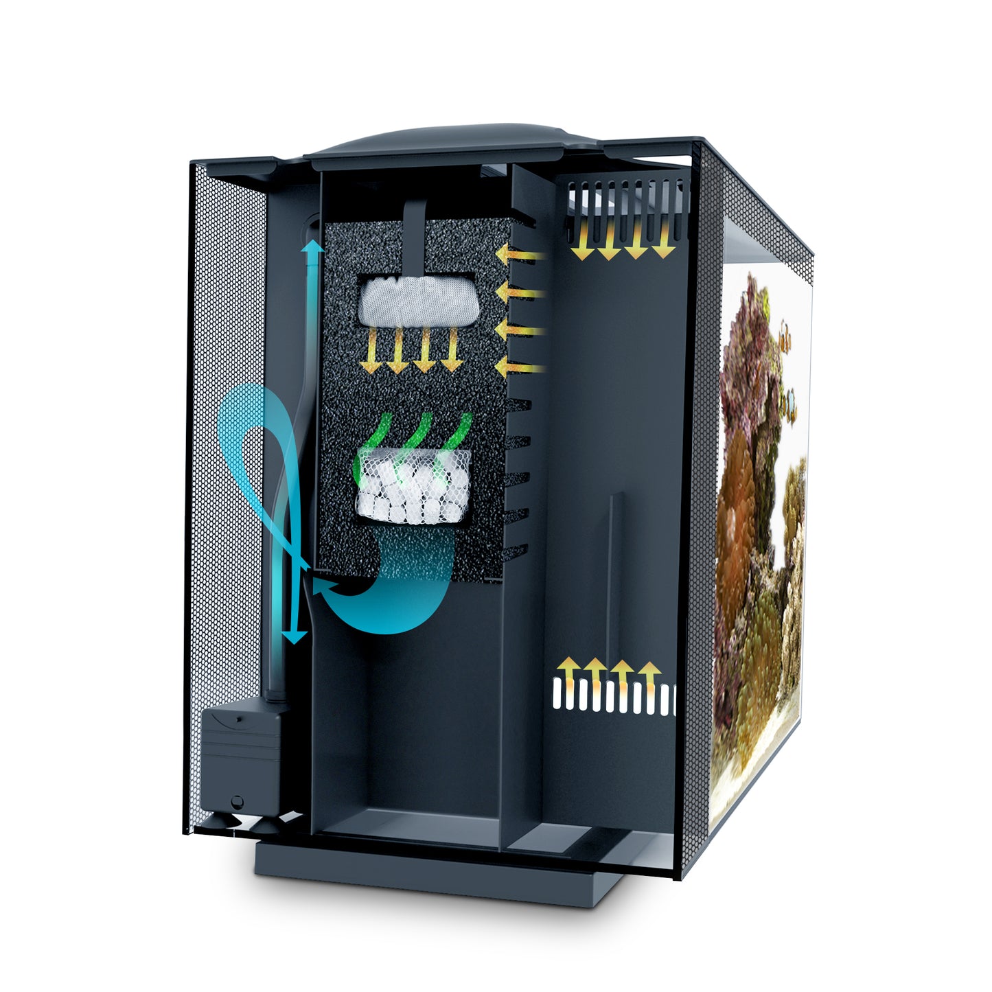 Fluval Spec Aquarium Kit – Black - 60 L (16 US gal) ( Pre-order only!)