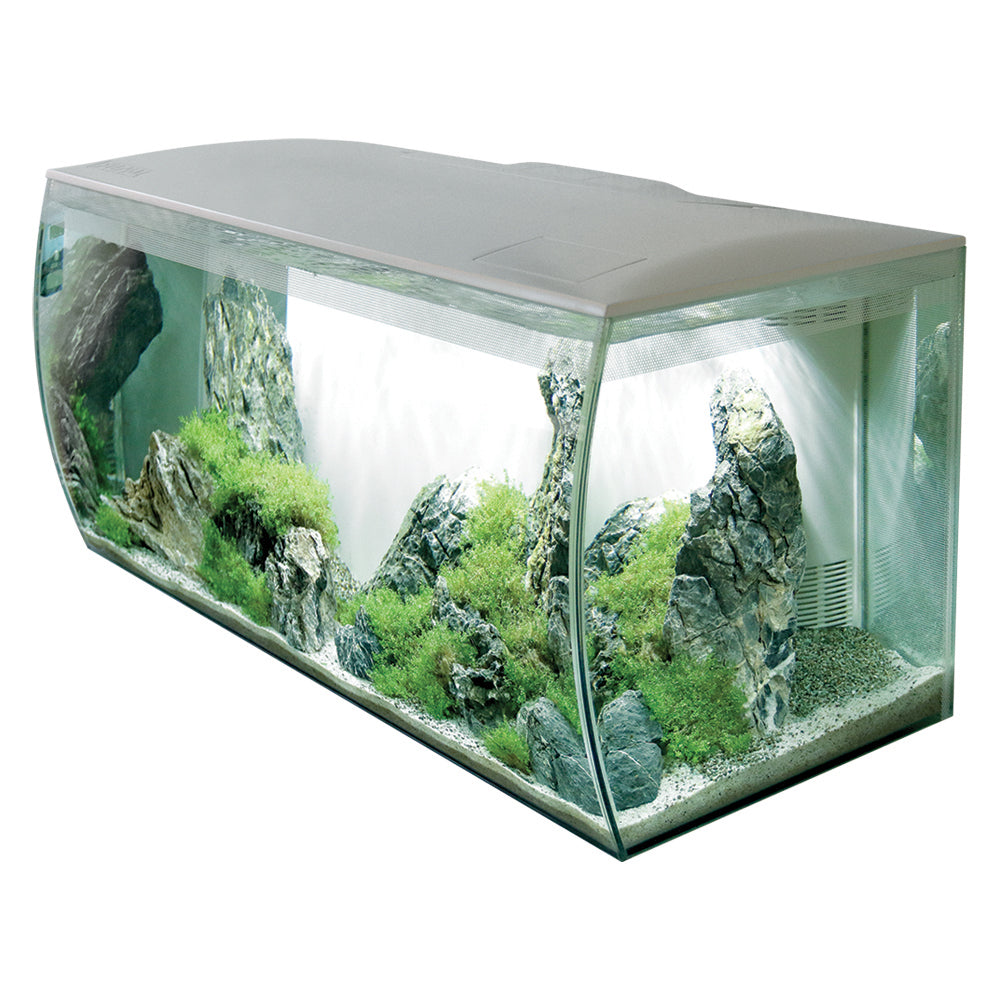 Fluval flex shop 32.5 gallon