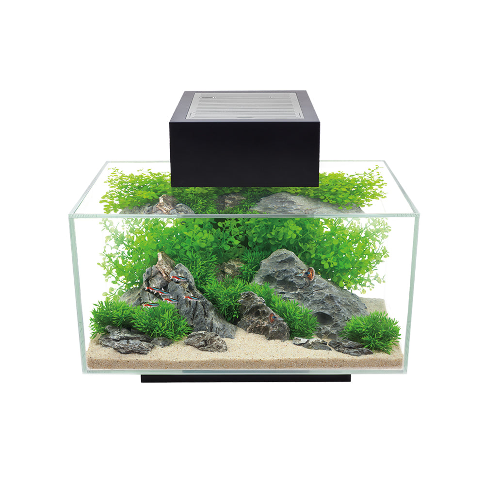 Fluval EDGE Aquarium Kit - 23 L (6 US gal) - Black (Pre-Order Only)(Free Delivery to your Driveway available within 10km from store)