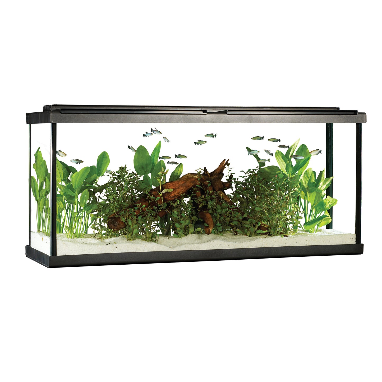 Fluval Premium Aquarium Kit with LED - 55 - 208 L (55 US Gal) ( Pre-Order Only) (Free Delivery to your Driveway available within 10km from store)