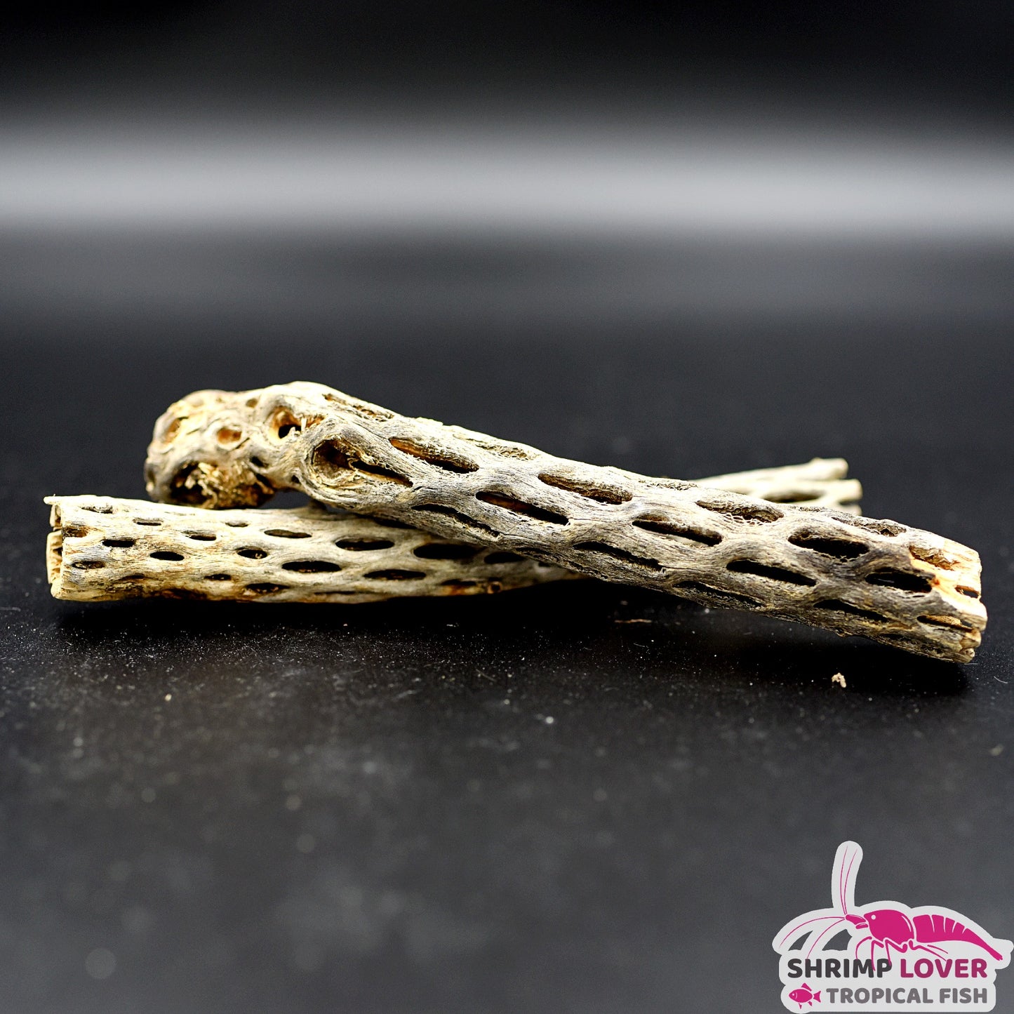 Cholla wood 6 inch
