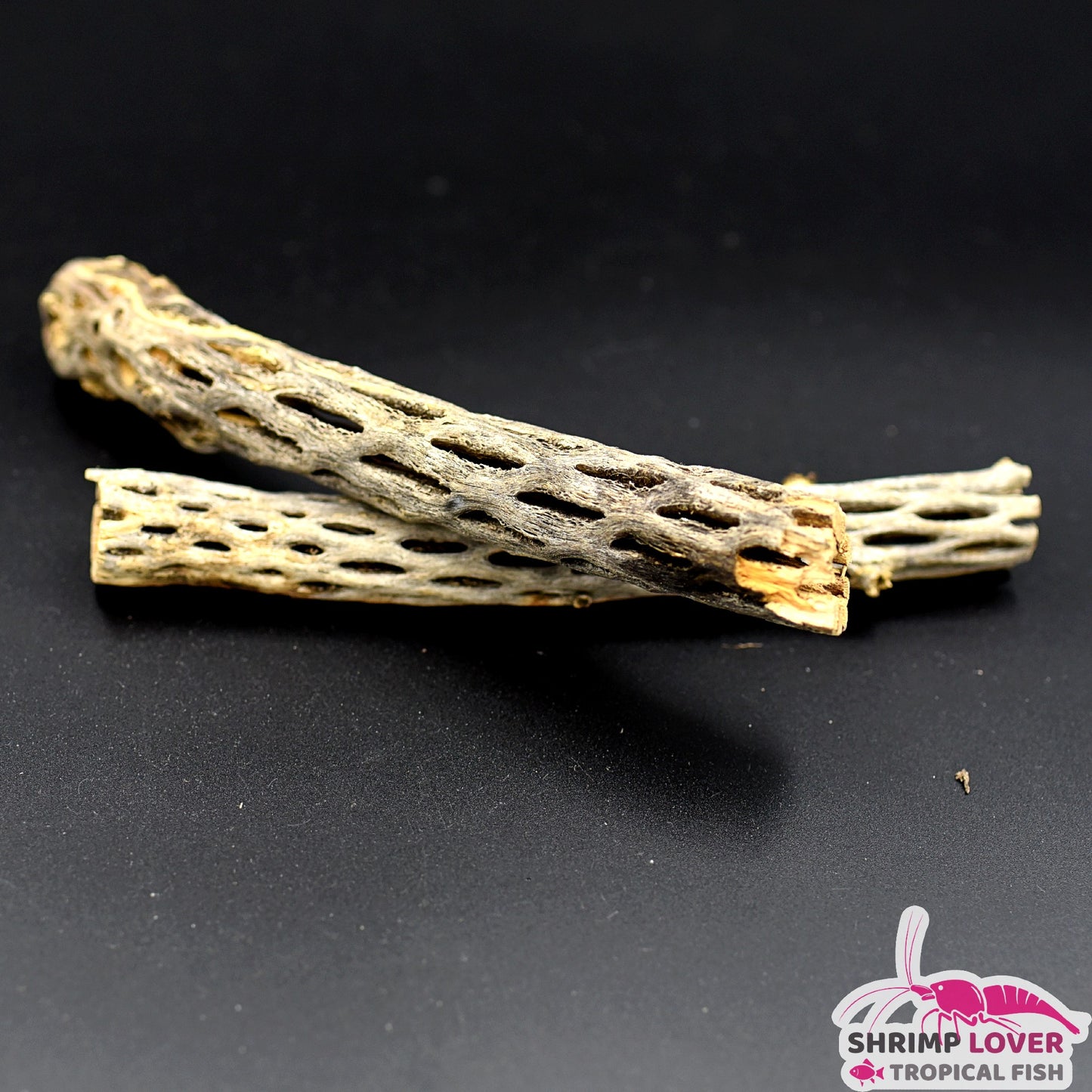 Cholla wood 6 inch