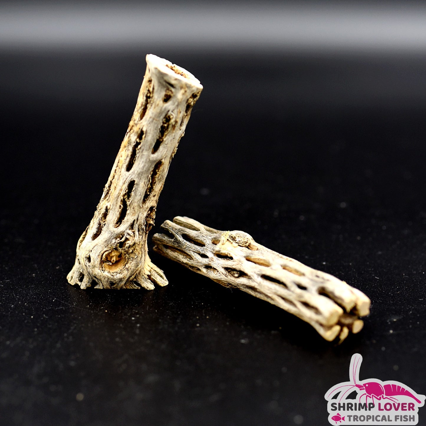 Cholla Wood 4 inch