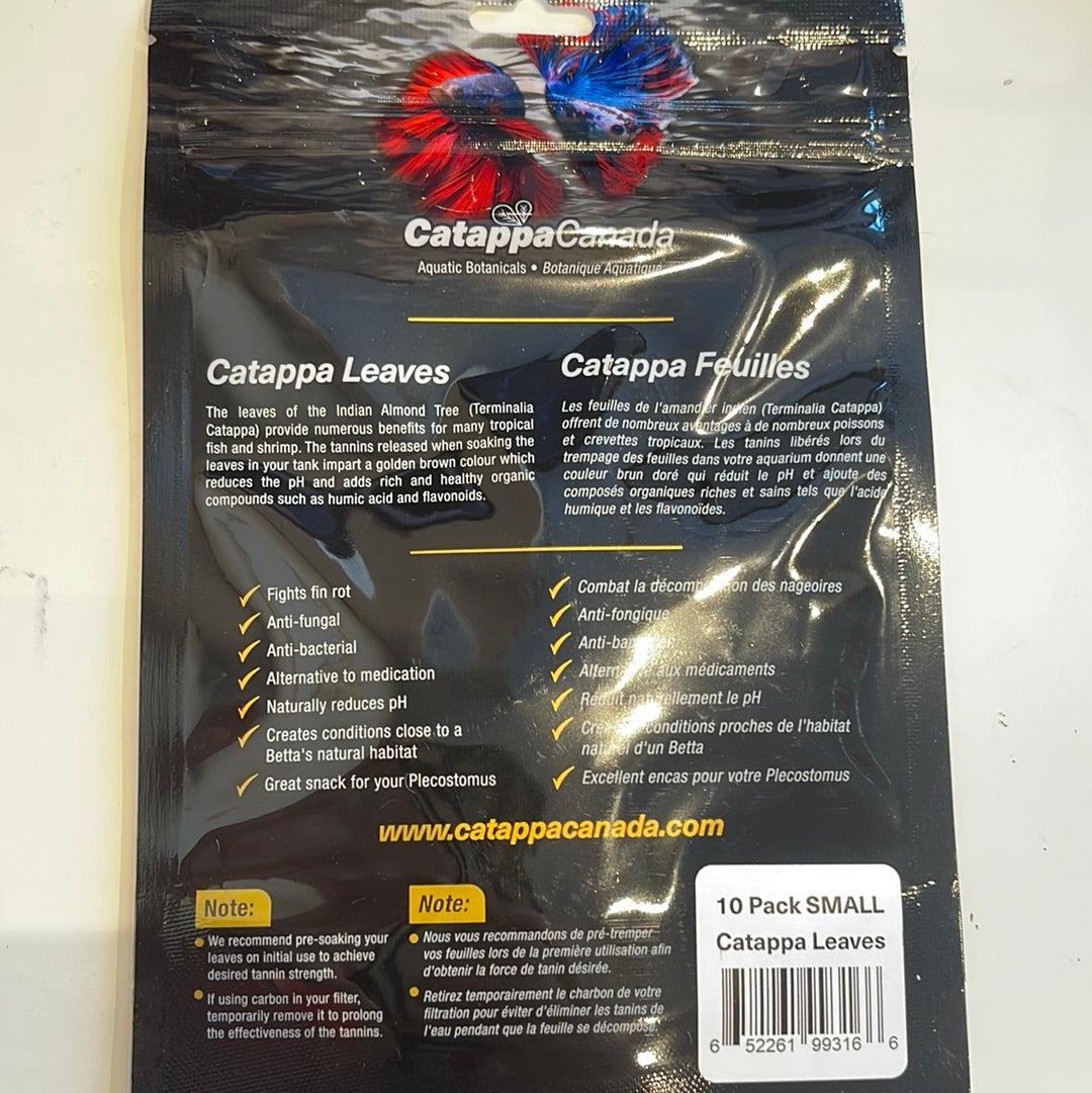 Small Catappa Leaves 10pack