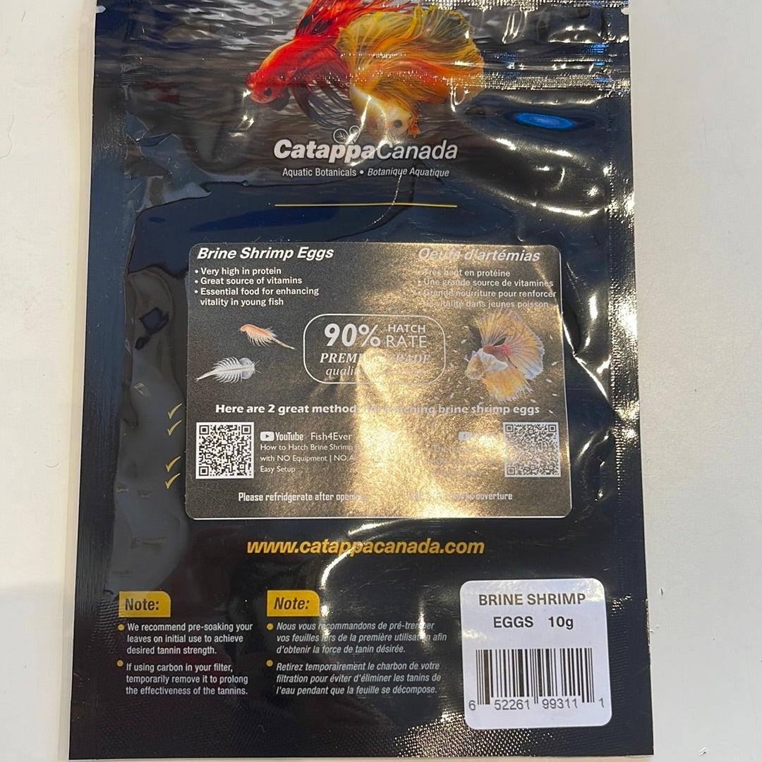 Brine Shrimp Eggs 10g (for Hatching)