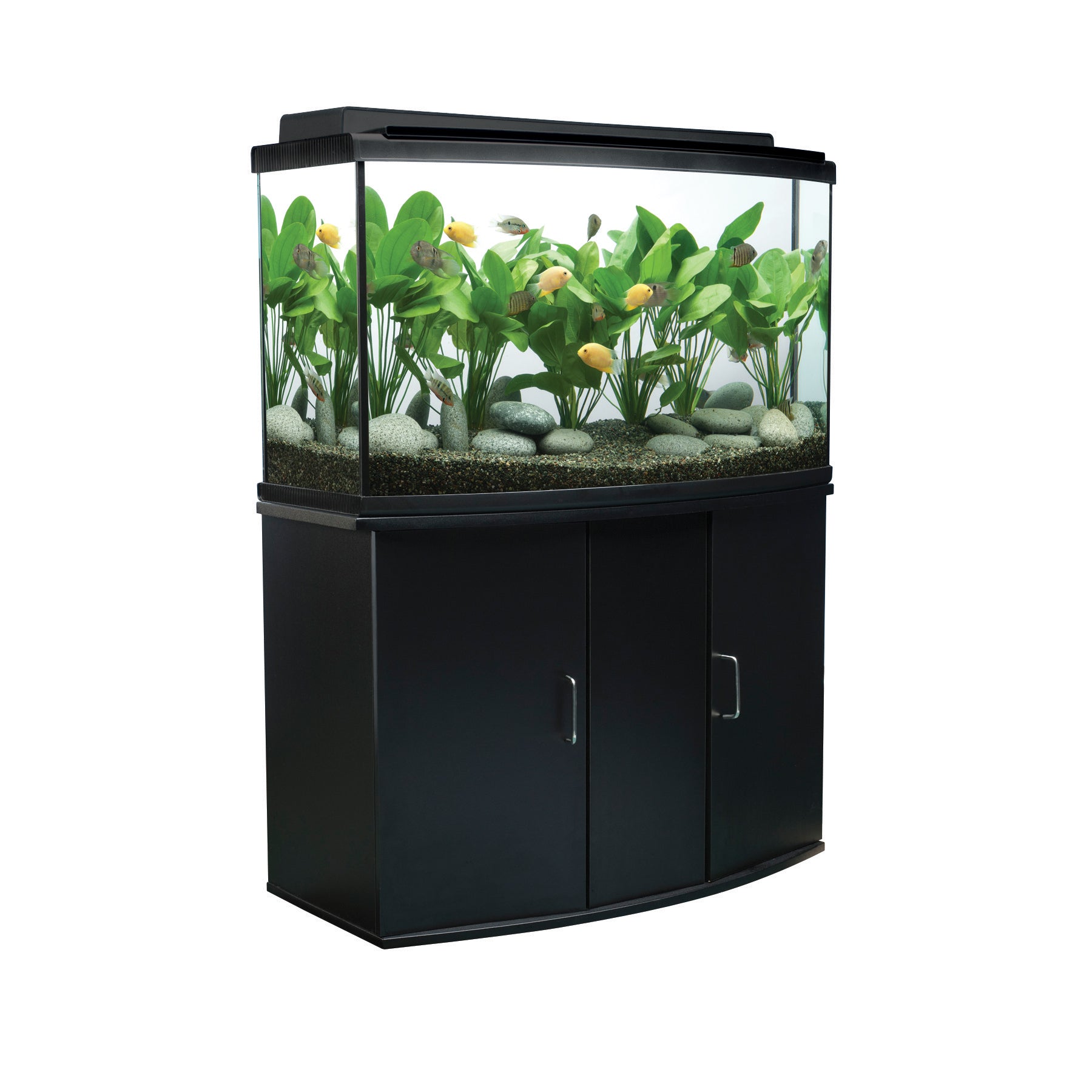Fluval Bow Front Aquarium Cabinet 37in x 16.5in x 26in 94 cm x 42 cm x 66 cm Black Pre Order Only Free Delivery to your Driveway available