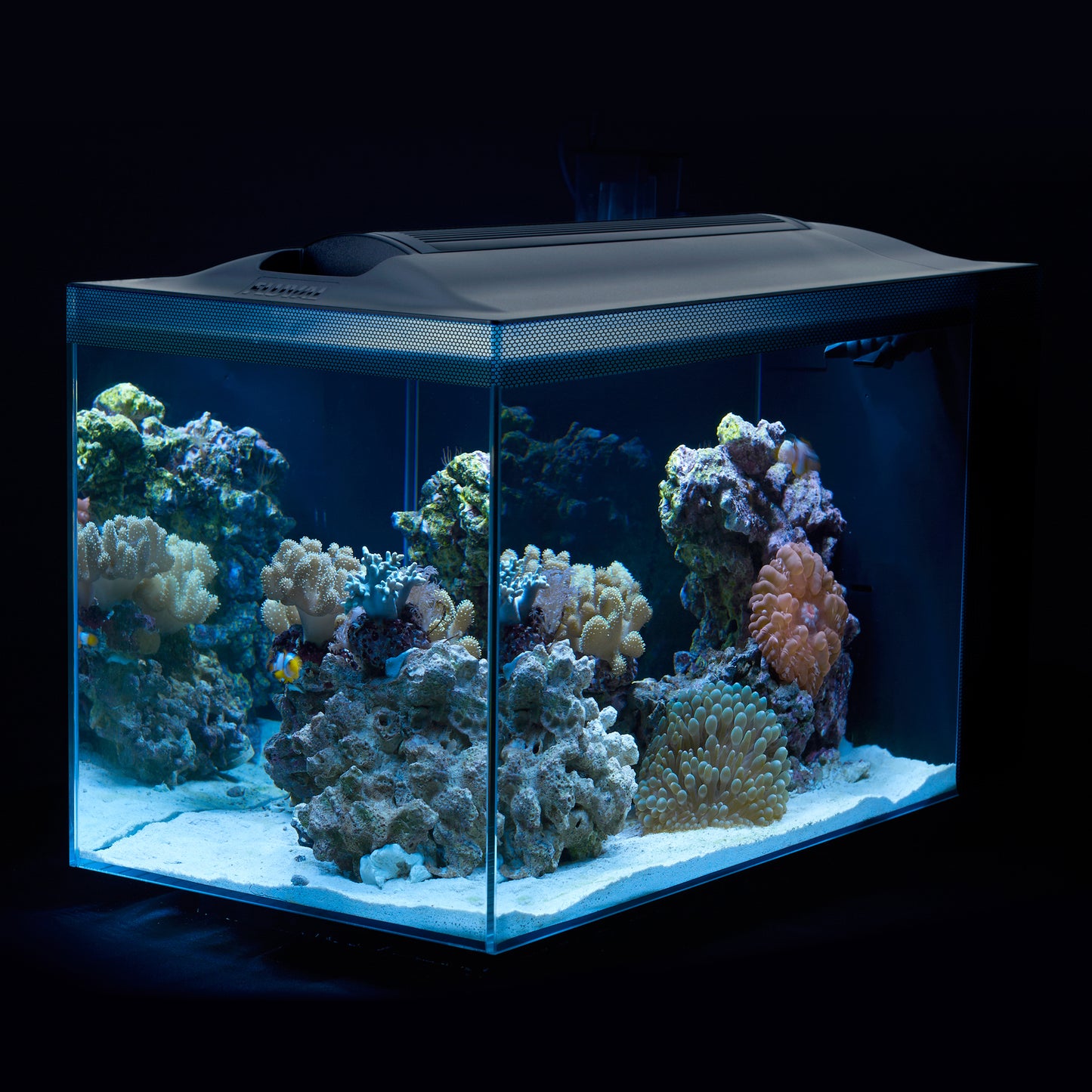 Fluval Sea EVO Aquarium Kit - 52 L (13.5 US gal) (Pre-Order Only) (Free Delivery to your Driveway available within 10km from store)