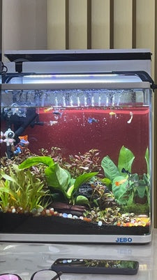 JIYIN LED Planted Freshwater Aquarium Light 8cm~106cm – Shrimp