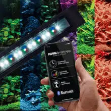 Fluval FLEX Aquarium Kit - Black - 123 L (32.5 US Gal) (Pre-Order Only) (Free Delivery to your Driveway available within 10km from store)