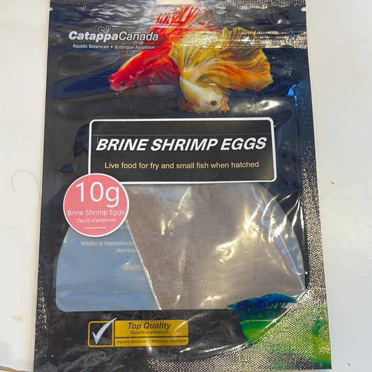 Brine Shrimp Eggs 10g (for Hatching)